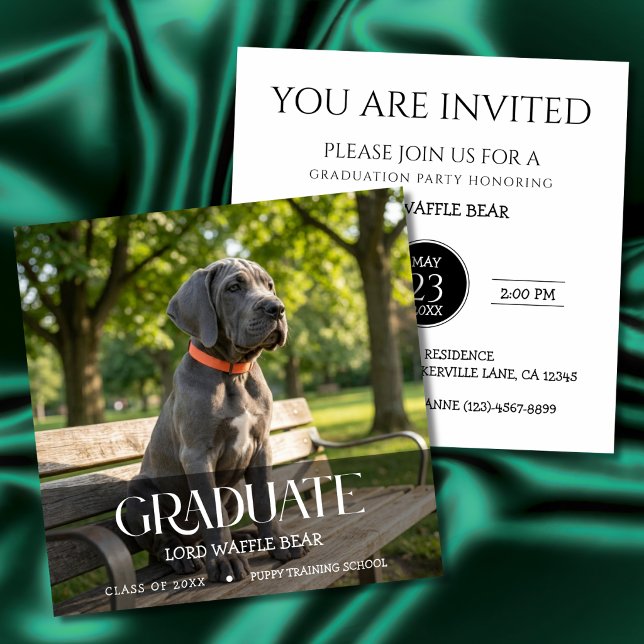 Convite Dog Graduation Party Invite Pet Photo Black &White (Dog training graduation invitation cards)