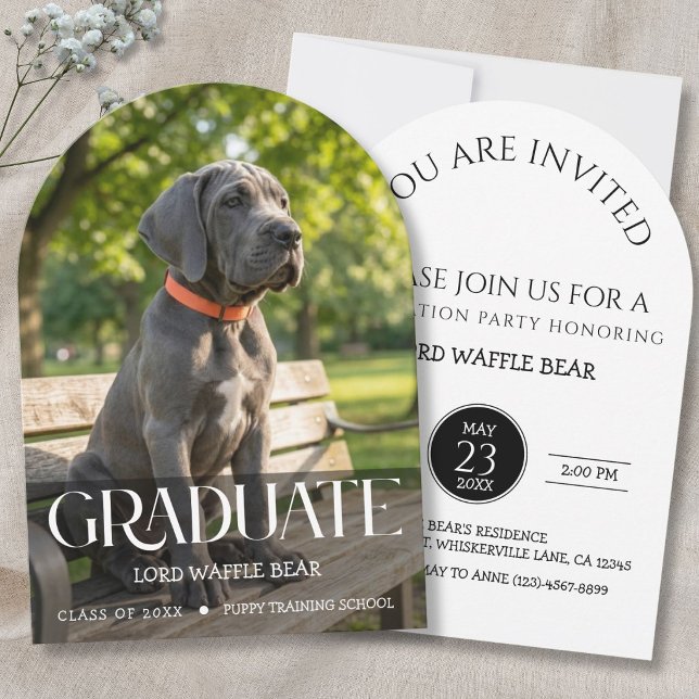 Convite Dog Graduation Party Invite Pet Photo Black &White (Dog training graduation celebration)