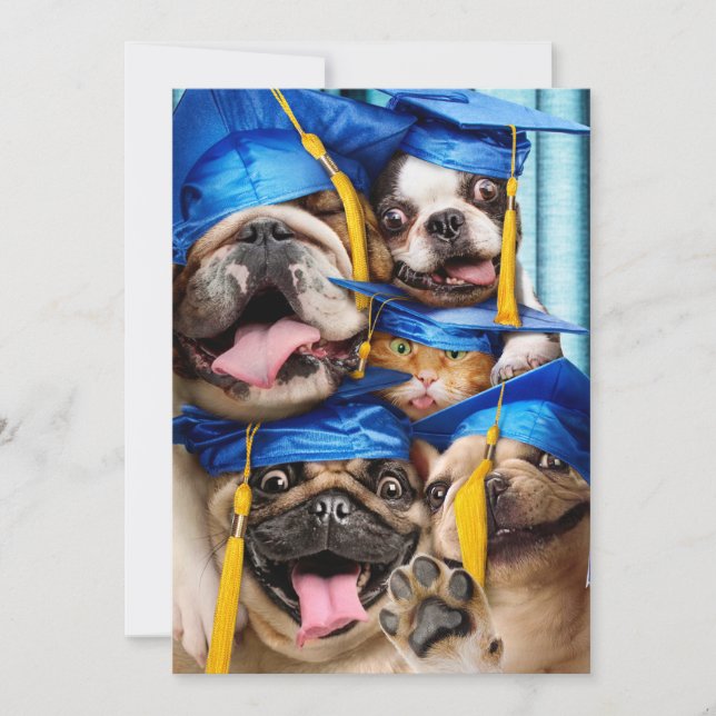 Convite Dogs and Cat Grads in Photo Booth (Frente)
