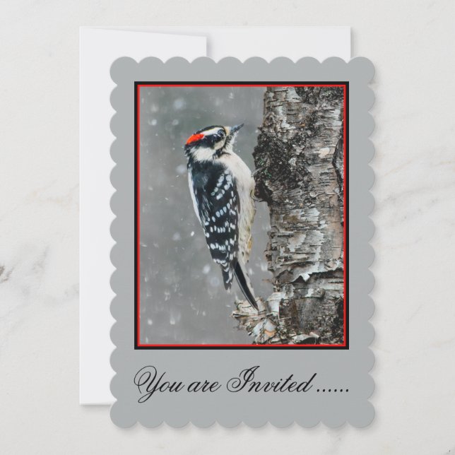 Convite Downy Woodpecker em Neve - Foto Original (Frente)