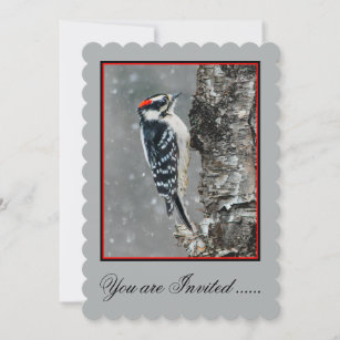 Convite Downy Woodpecker em Neve - Foto Original