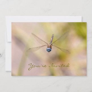 Convite Dragonfly na foto de voo