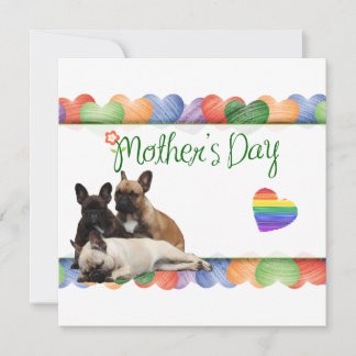 Convite Drei Französische Bulldoggen Danke French Bulldog