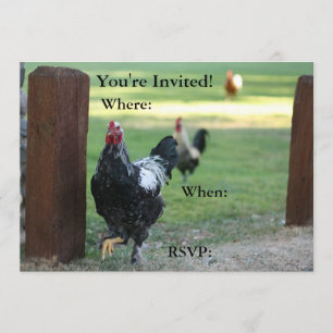 Convite Duplo Lado, Galo