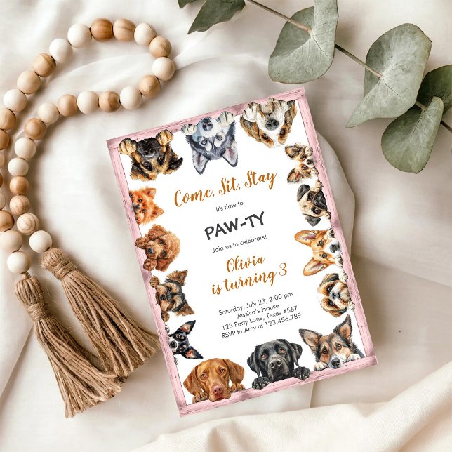Convite É Hora de Festa com Patinhas Animais de Festa Aniv (Criador carregado)