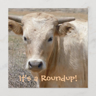 Convite É um Roundup! Bovinos - Celebração do Estilo Oc