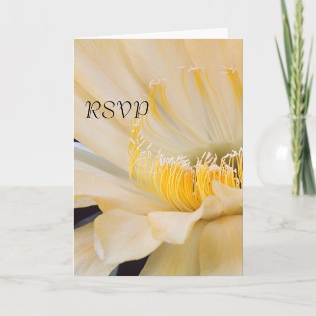 Convite Echinopsis Charlemagne em flor RSVP (Frente)