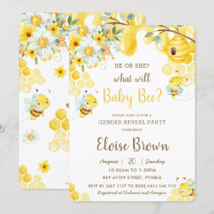 Convite Ele ou Ela É Uma Festa De Revolução De Gênero 