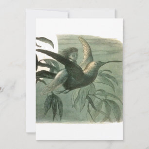 Convite Elf Fairies Elves Moon Night Bird Voando