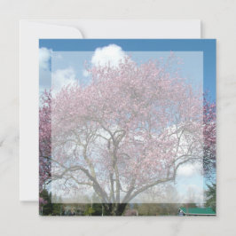 convite em branco, árvore florescendo cerejeira