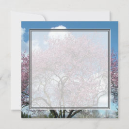 convite em branco, árvore florescendo cerejeira