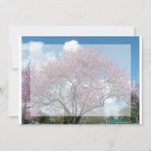 convite em branco, árvore florida de cerejeira