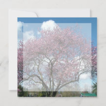 convite em branco, árvore florida de cerejeira