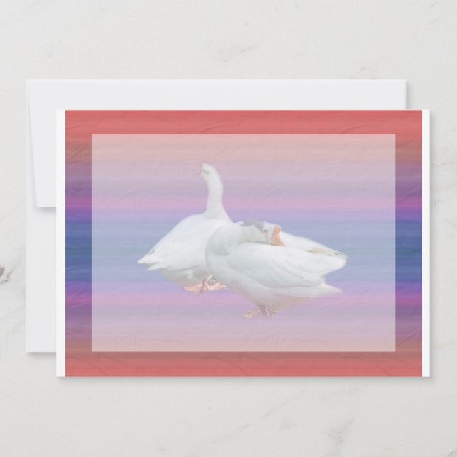 convite em branco, para todos os fins. (Frente)
