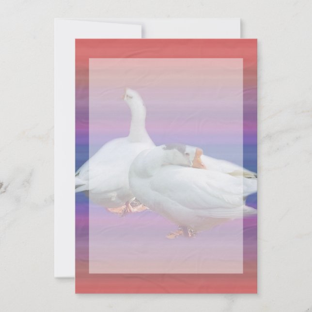 convite em branco, para todos os fins (Frente)