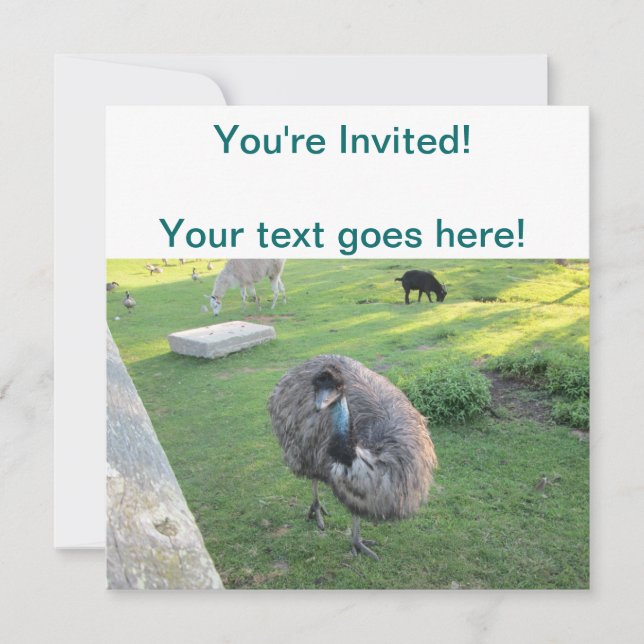 Convite Emu (Frente)