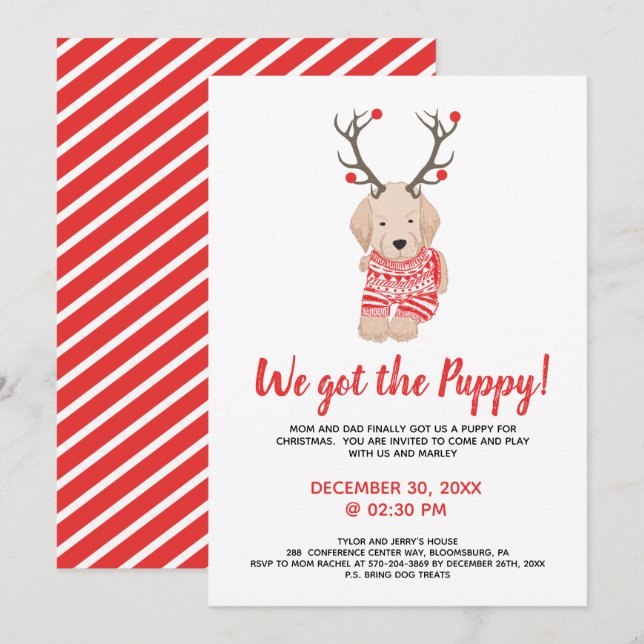 Convite Encontro de Natal de Crianças com Cachorro Novo (Frente/Verso)
