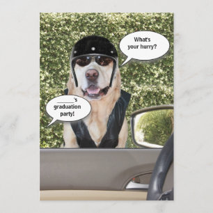 Convite engraçado customizável da festa de