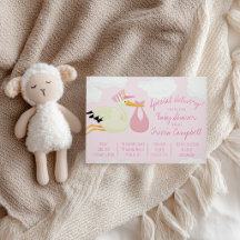 Entrega Especial!  Chuveirinho de Bebê Pink Stork
