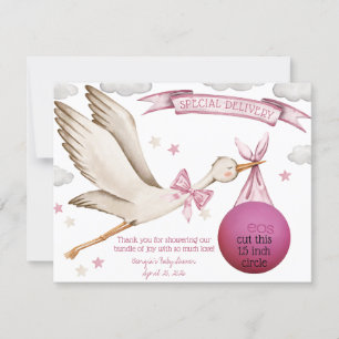 Convite Entrega especial! Favor do Balm do EOS Lip Stork R