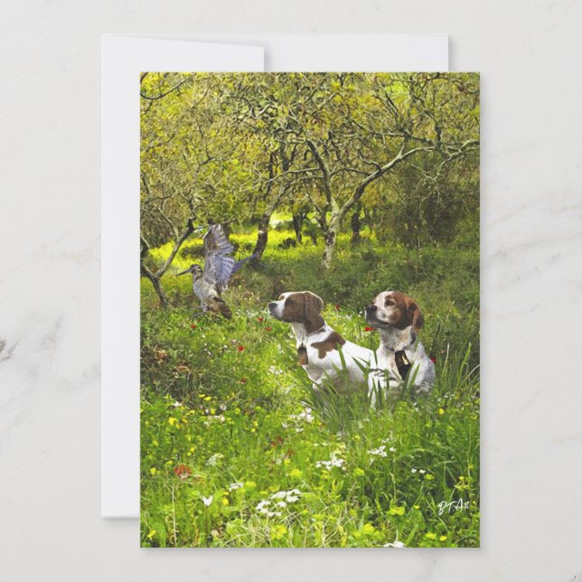 Convite Epagneul Breton, Bretanha Spaniel (Frente)