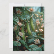 Ervilha na Casca | Brotações Doces