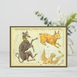 Convite Espelho de Urânia, Mapa Celeste de Astronomia Anti