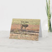 Esqueceu Alguma Coisa?