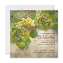 Estilo de Vintagem do Campo de Vinha do Casamento 