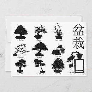 Convite Estilos Básicos da Árvore Bonsai 10
