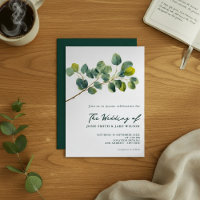 Eucalyptus galhos verdes folhas casamento