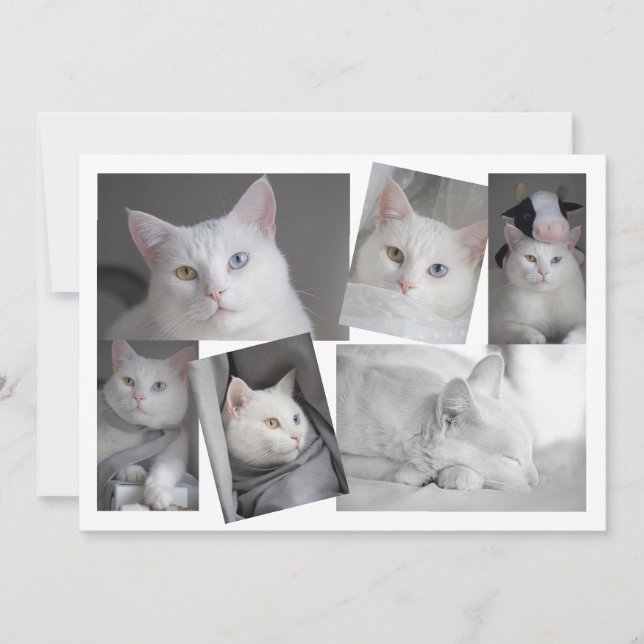 Convite Faça sua própria placa personalizada de colagem de (Frente)