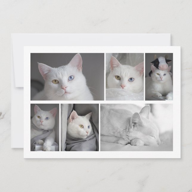 Convite Faça sua própria placa personalizada de colagem de (Frente)