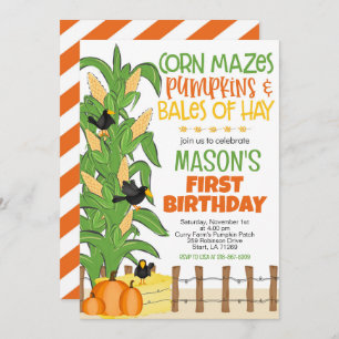 Convite Fall Corn Maze Pumpkin Boy Birthday