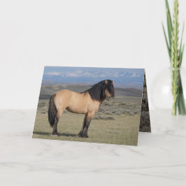 Convite "Fallen Star in Front of the Wind River Mountains"