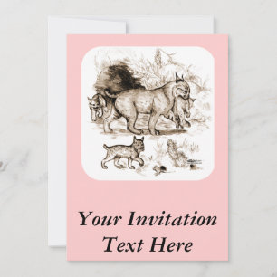 Convite Família Bobcat