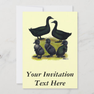 Convite Família Cayuga Duck
