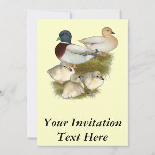 Convite Família Pastel Call Duck