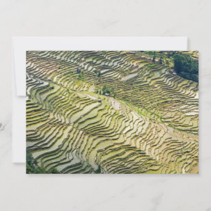 Convite Famosos Yuanyang Rice Terraces - Yunnan, China