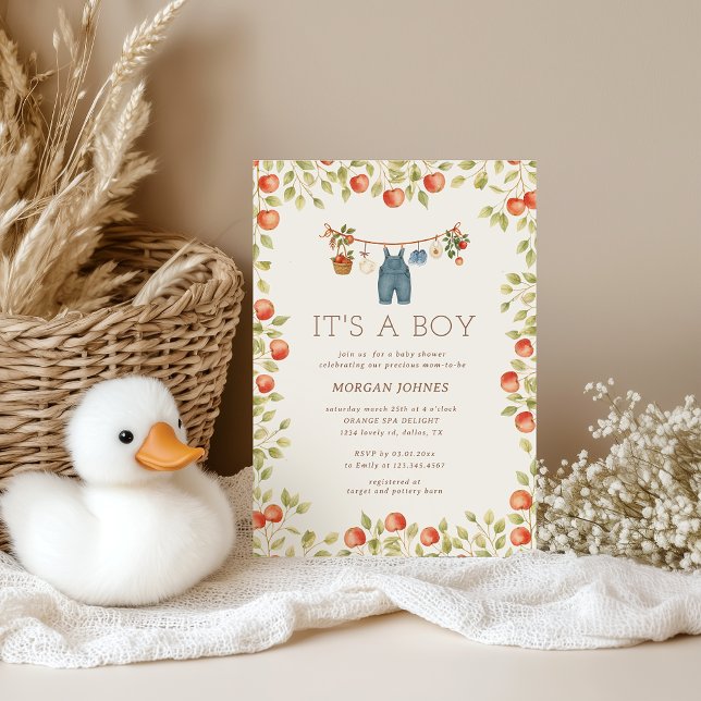 Convite Farmhouse Baby Clothesline Baby Shower (Criador carregado)