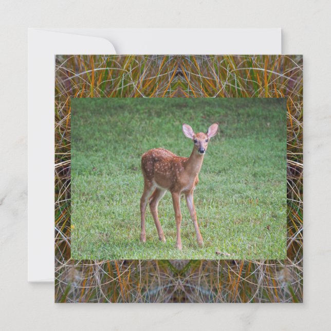 Convite Fawn (Frente)
