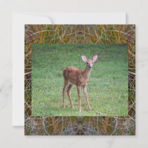 Convite Fawn