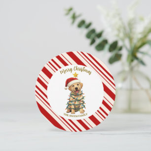 Convite Felicidades simples modernas de natal  Patte de ca