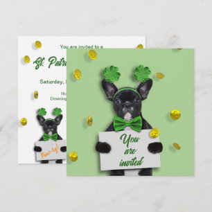 Convite Feliz Dia de São Patrício Trevo Cachorro Bulldog F
