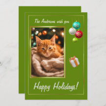 Feliz feriado, gatinho bonito.