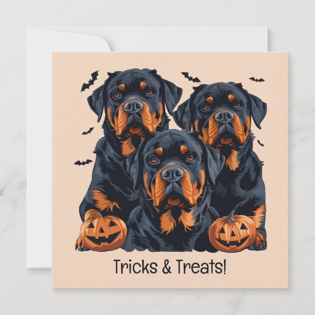 Convite Feliz Halloween Rottweiler Cães Jack O Lanterna (Frente)