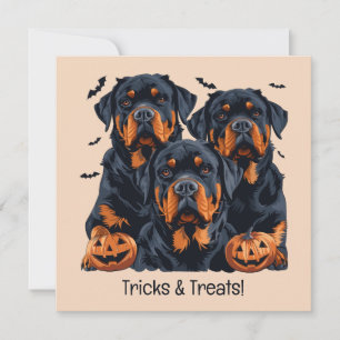 Convite Feliz Halloween Rottweiler Cães Jack O Lanterna