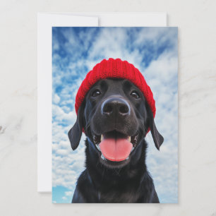Convite Feliz Labrador em um Red Beanie Sob um Céu Azul
