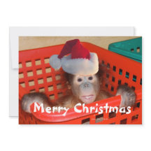 Feliz Natal Crie sua própria mensagem