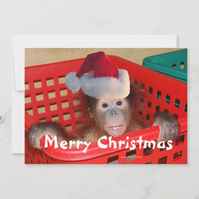 Convite Feliz Natal Crie sua própria mensagem (Frente)